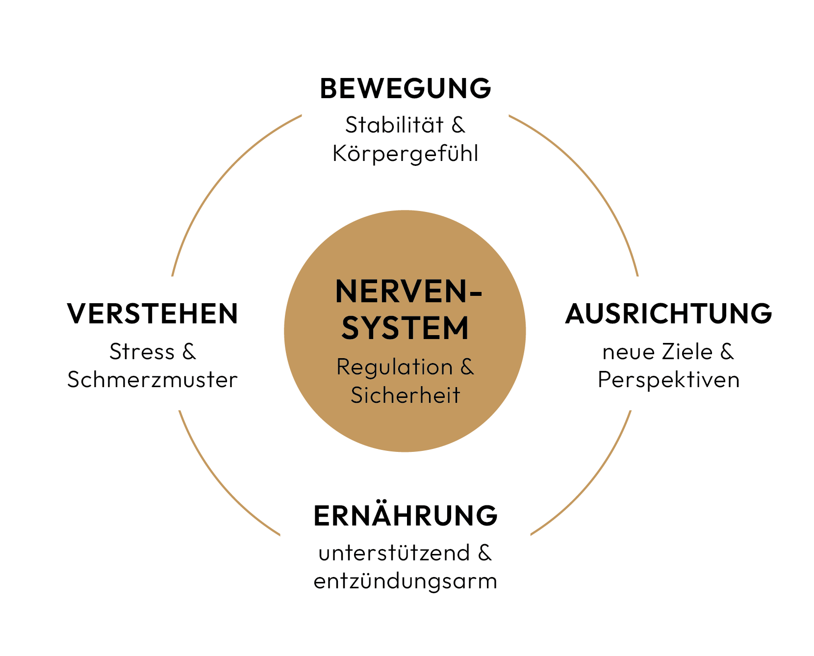 Ganzheitlicher Ansatz: Nervensystem, Bewegung, Verstehen, Ausrichtung, Ernährung